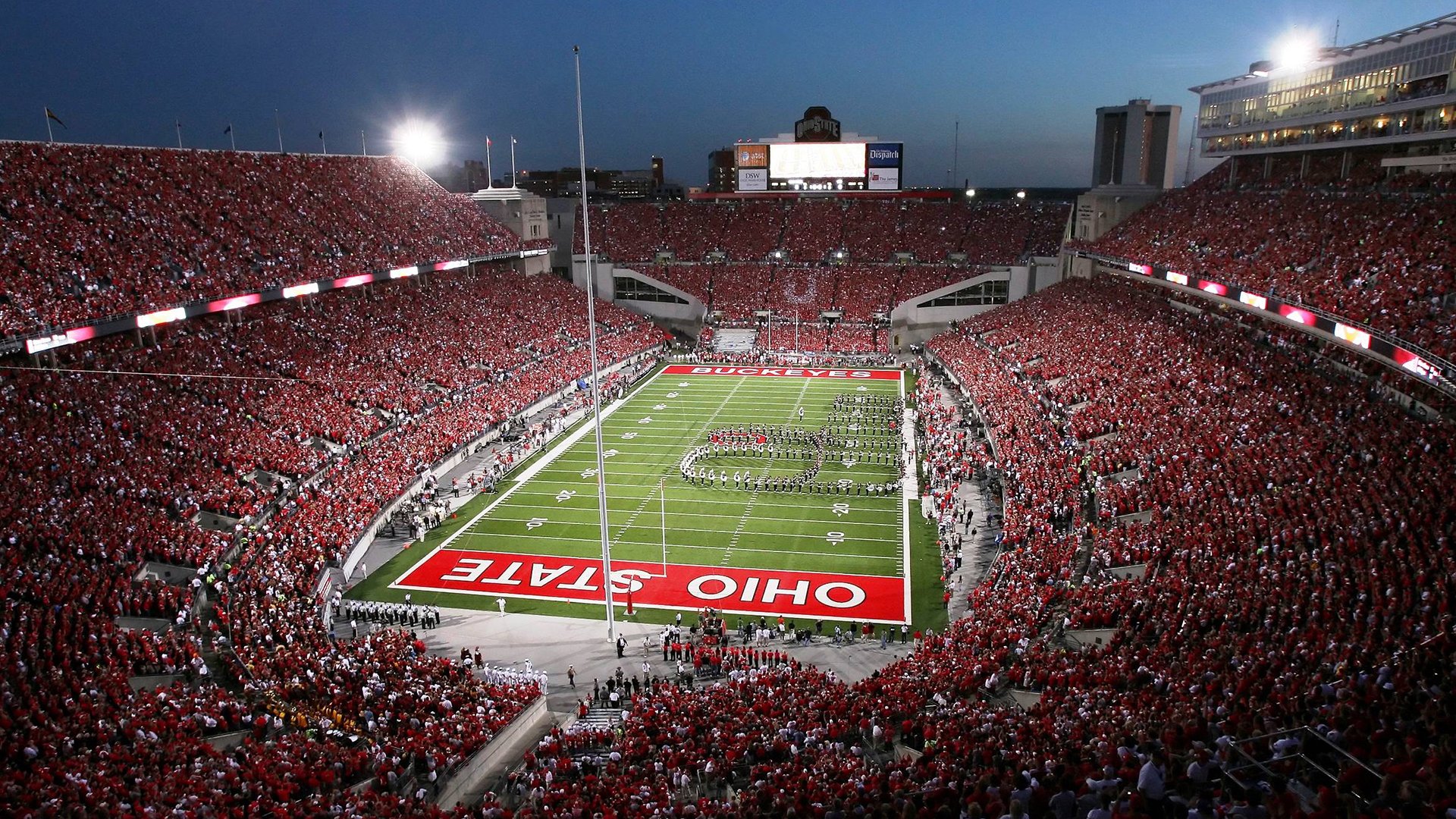 天赋异禀:挡不住的赛场明星,天赋异禀的演员名单